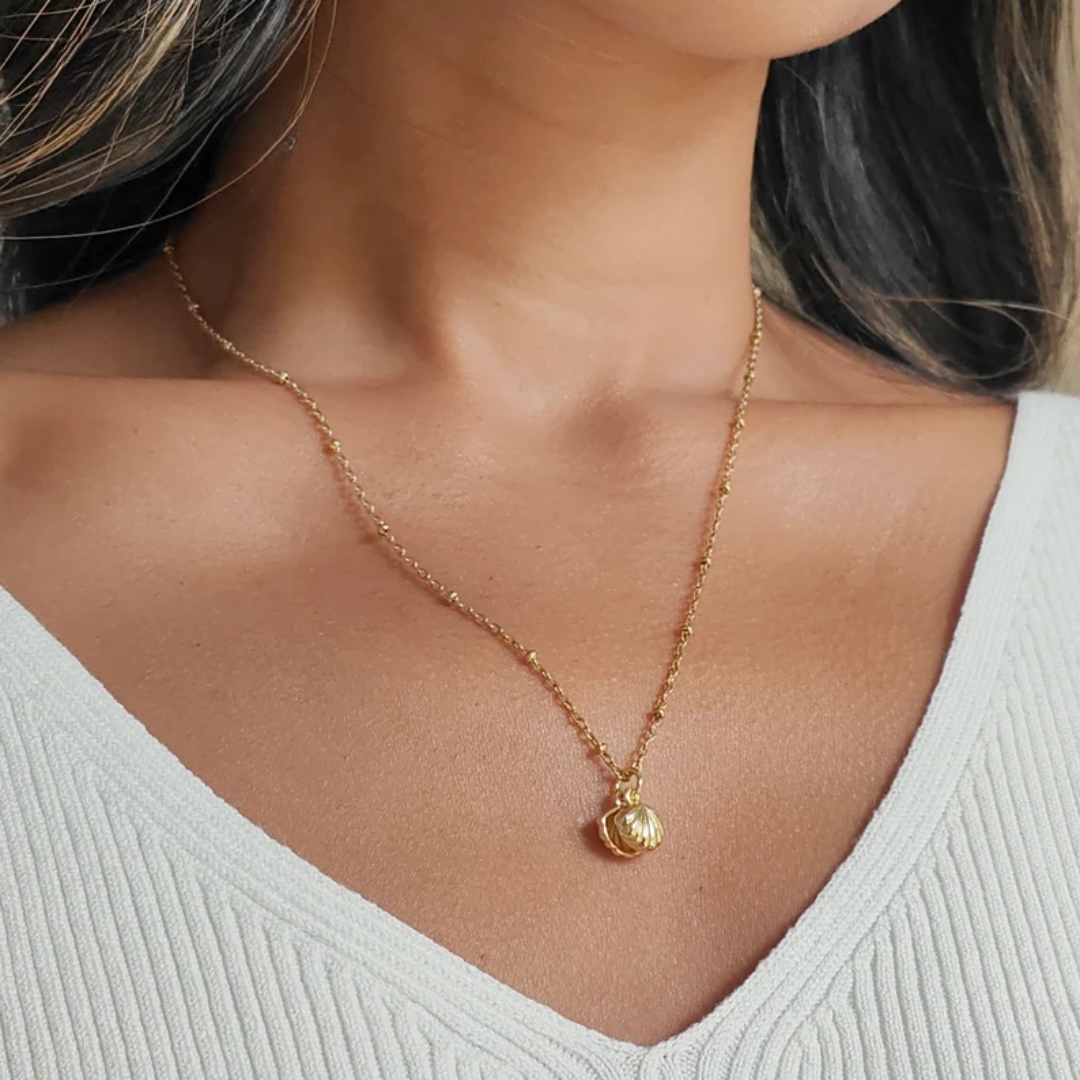 Collar Conchita de Mar | Baño en Oro + Caja Gratis ✨🐚