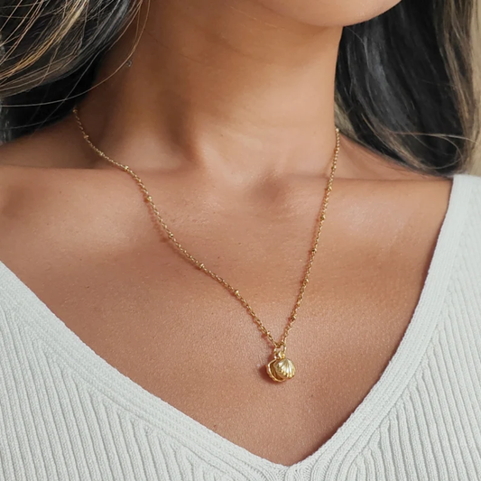 Collar Conchita de Mar | Baño en Oro + Caja Gratis ✨🐚